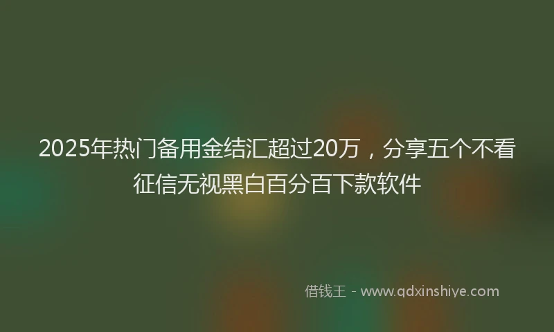 2025年热门备用金结汇超过20万，分享五个不看征信无视黑白百分百下款软件