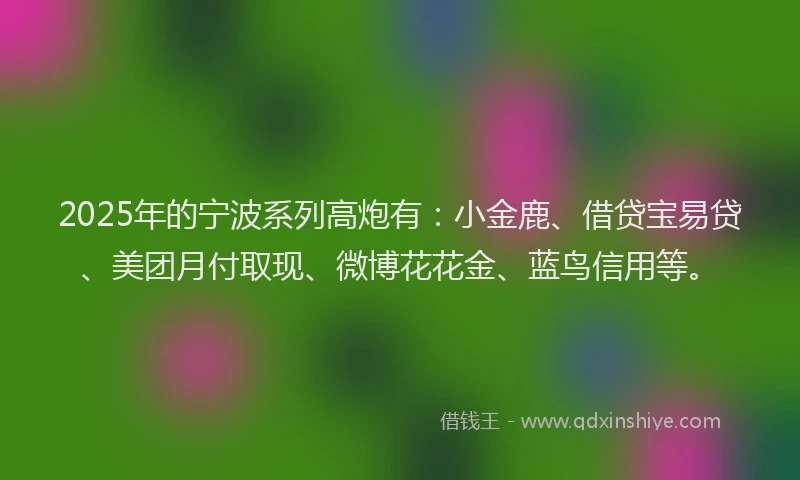 2025年的宁波系列高炮有:小金鹿、借贷宝易贷、美团月付取现、微博花花金、蓝鸟信用等。