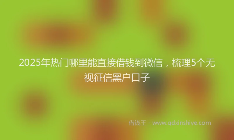 2025年热门哪里能直接借钱到微信，梳理5个无视征信黑户口子