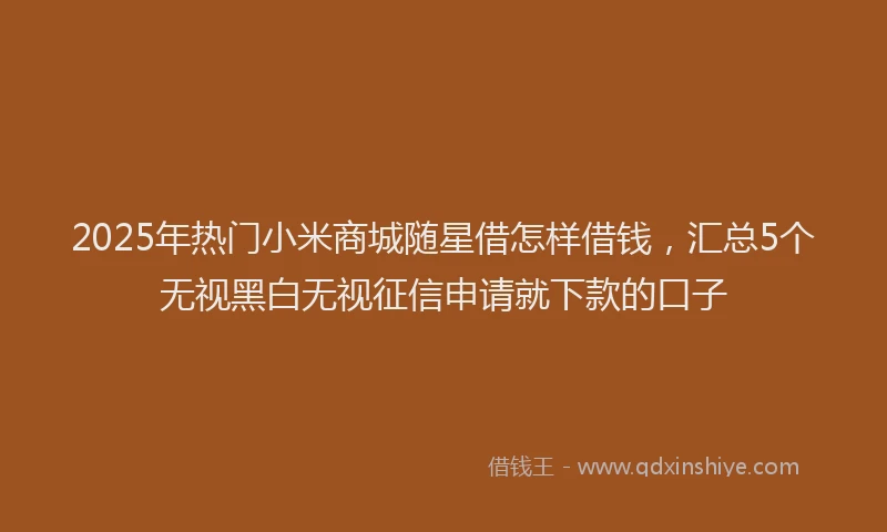 2025年热门小米商城随星借怎样借钱，汇总5个无视黑白无视征信申请就下款的口子