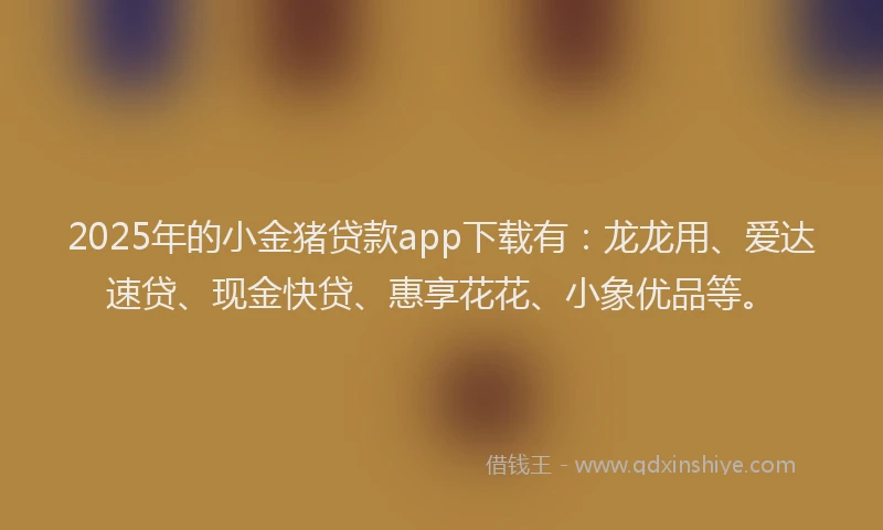2025年的小金猪贷款app下载有：龙龙用、爱达速贷、现金快贷、惠享花花、小象优品等。