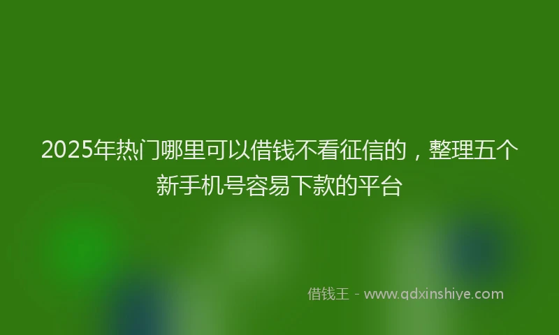 2025年热门哪里可以借钱不看征信的，整理五个新手机号容易下款的平台