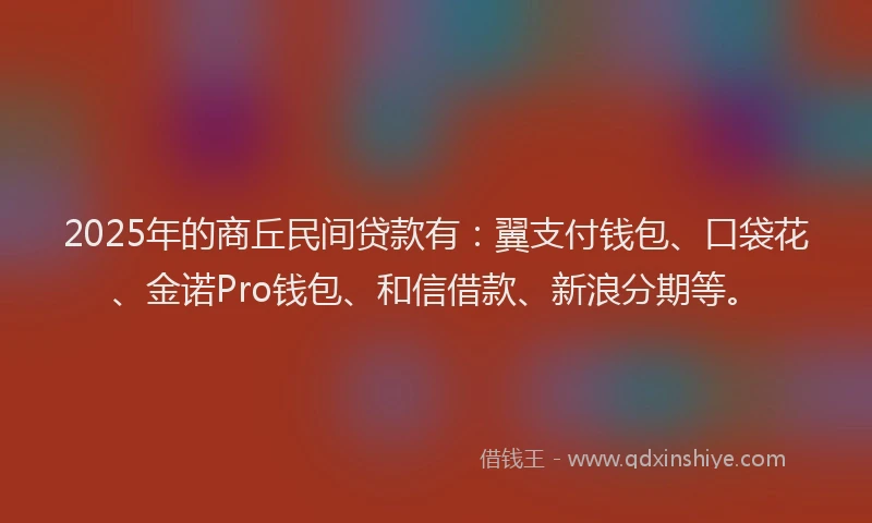 2025年的商丘民间贷款有：翼支付钱包、口袋花、金诺Pro钱包、和信借款、新浪分期等。