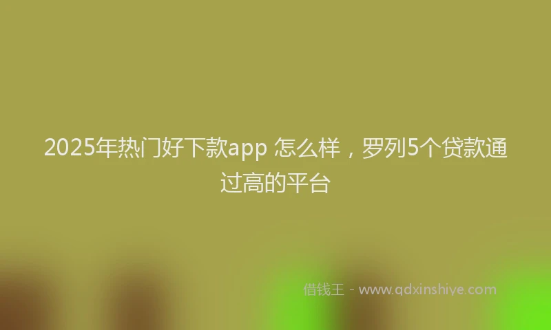 2025年热门好下款app 怎么样，罗列5个贷款通过高的平台