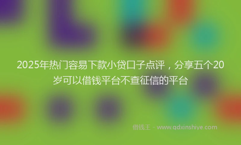 2025年热门容易下款小贷口子点评，分享五个20岁可以借钱平台不查征信的平台