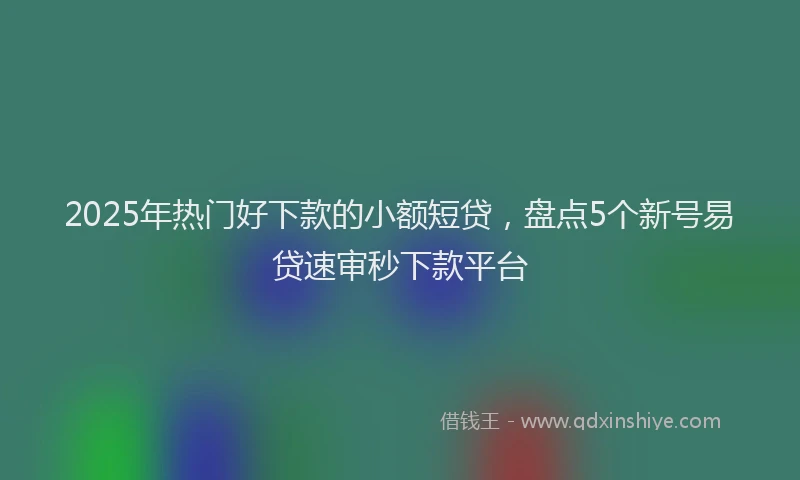 2025年热门好下款的小额短贷，盘点5个新号易贷速审秒下款平台