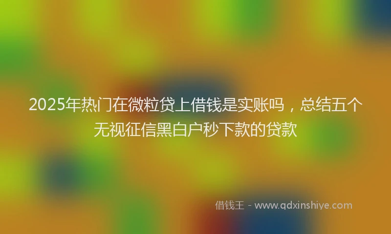 2025年热门在微粒贷上借钱是实账吗，总结五个无视征信黑白户秒下款的贷款