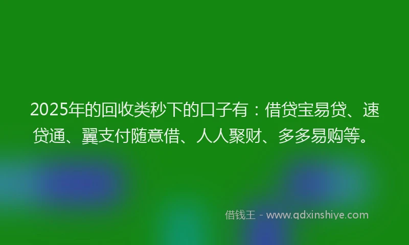 2025年的回收类秒下的口子有：借贷宝易贷、速贷通、翼支付随意借、人人聚财、多多易购等。