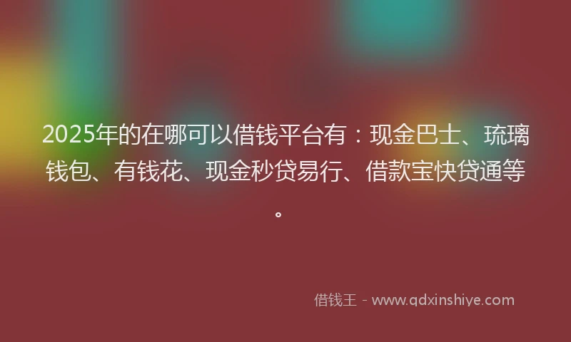 2025年的在哪可以借钱平台有：现金巴士、琉璃钱包、有钱花、现金秒贷易行、借款宝快贷通等。