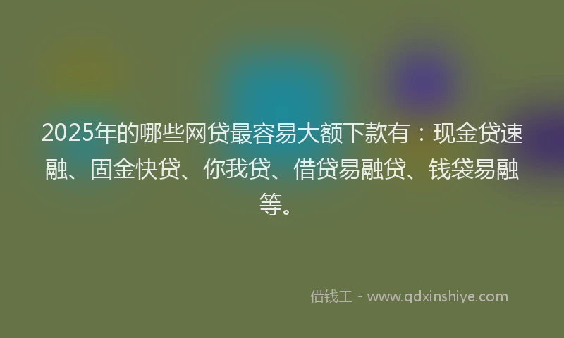 2025年的哪些网贷最容易大额下款有：现金贷速融、固金快贷、你我贷、借贷易融贷、钱袋易融等。