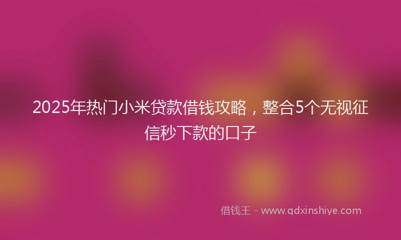 2025年热门小米贷款借钱攻略,整合5个无视征信秒下款的口子