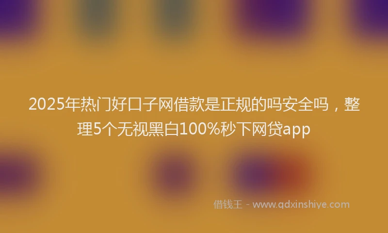 2025年热门好口子网借款是正规的吗安全吗，整理5个无视黑白100%秒下网贷app