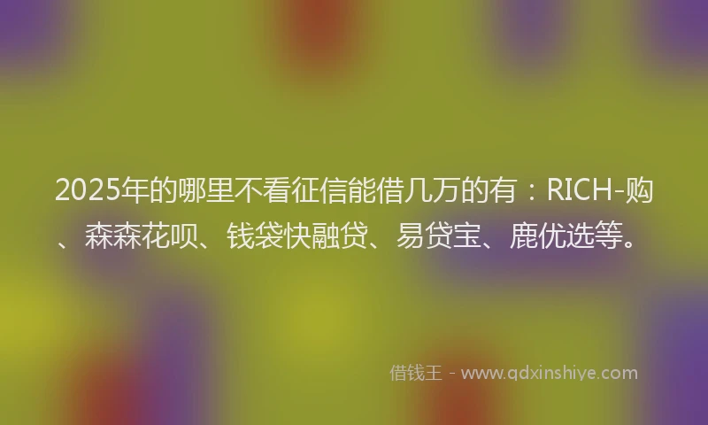2025年的哪里不看征信能借几万的有：RICH-购、森森花呗、钱袋快融贷、易贷宝、鹿优选等。