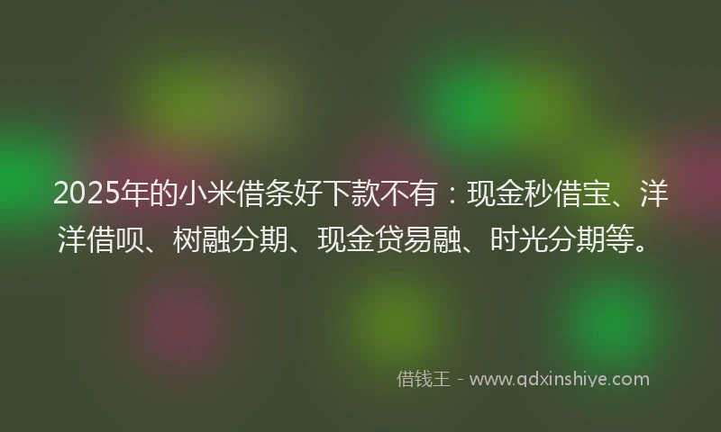 2025年的小米借条好下款不有：现金秒借宝、洋洋借呗、树融分期、现金贷易融、时光分期等。
