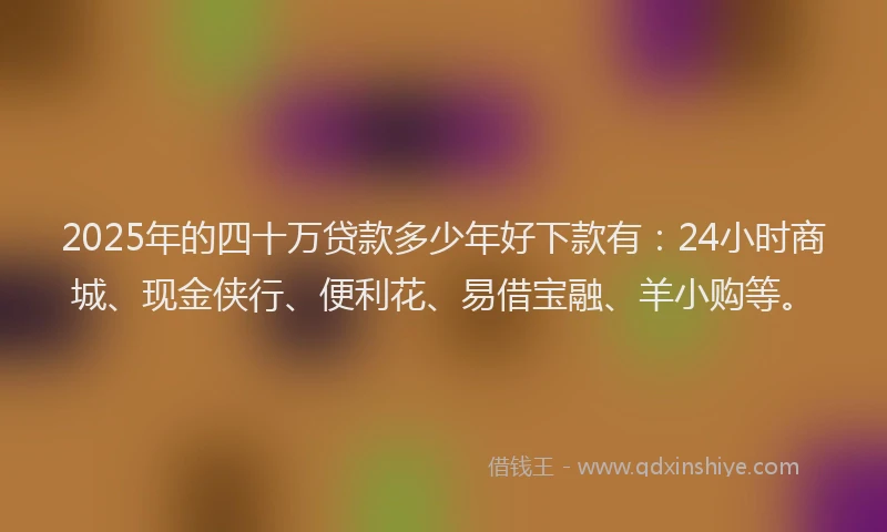 2025年的四十万贷款多少年好下款有：24小时商城、现金侠行、便利花、易借宝融、羊小购等。