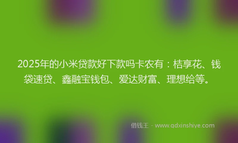 2025年的小米贷款好下款吗卡农有：桔享花、钱袋速贷、鑫融宝钱包、爱达财富、理想给等。