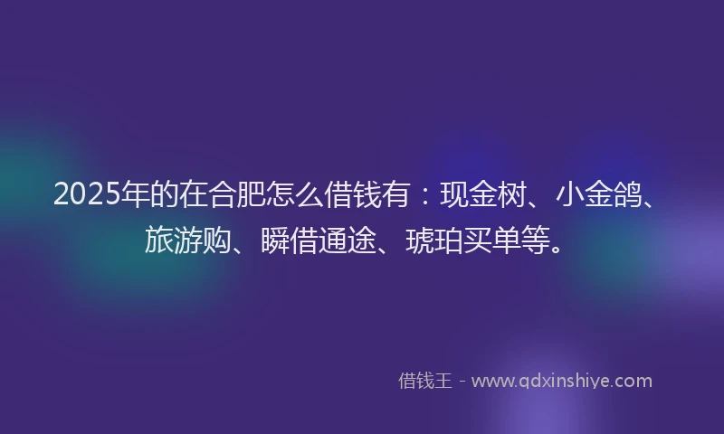 2025年的在合肥怎么借钱有：现金树、小金鸽、旅游购、瞬借通途、琥珀买单等。