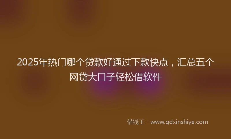 2025年热门哪个贷款好通过下款快点，汇总五个网贷大口子轻松借软件