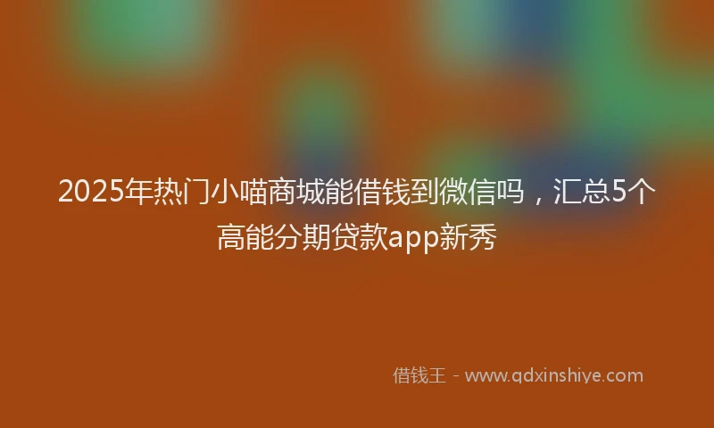 2025年热门小喵商城能借钱到微信吗，汇总5个高能分期贷款app新秀