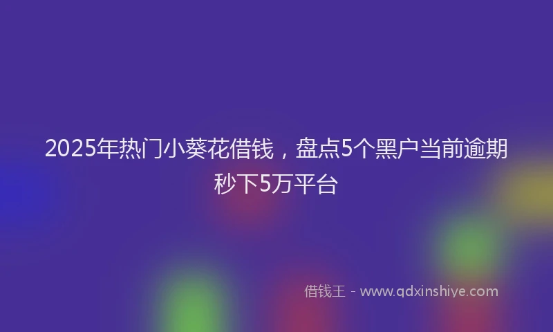 2025年热门小葵花借钱，盘点5个黑户当前逾期秒下5万平台