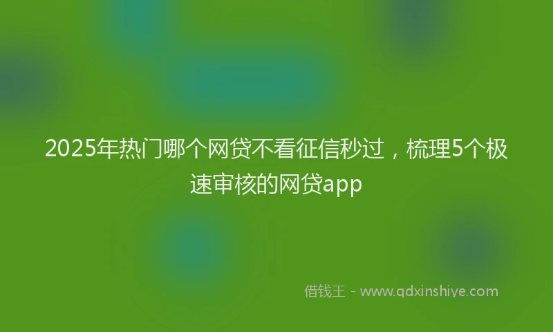 2025年热门哪个网贷不看征信秒过，梳理5个极速审核的网贷app
