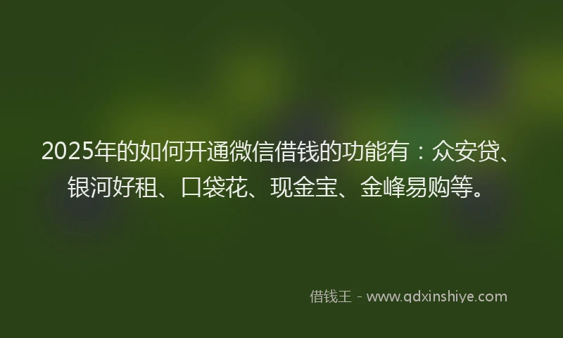 2025年的如何开通微信借钱的功能有：众安贷、银河好租、口袋花、现金宝、金峰易购等。