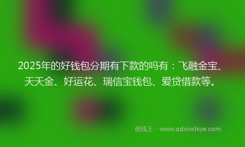 2025年的好钱包分期有下款的吗有：飞融金宝、天天金、好运花、瑞信宝钱包、爱贷借款等。