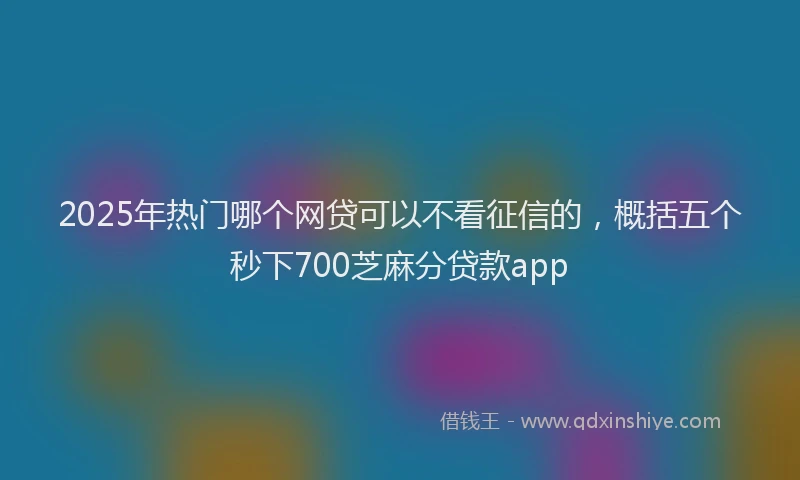 2025年热门哪个网贷可以不看征信的，概括五个秒下700芝麻分贷款app