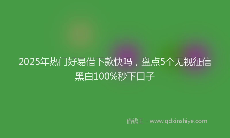 2025年热门好易借下款快吗，盘点5个无视征信黑白100%秒下口子