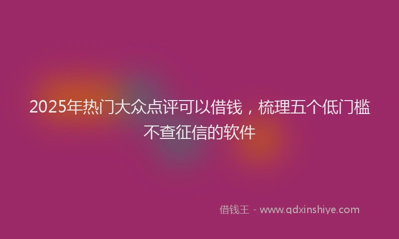 2025年热门大众点评可以借钱，梳理五个低门槛不查征信的软件