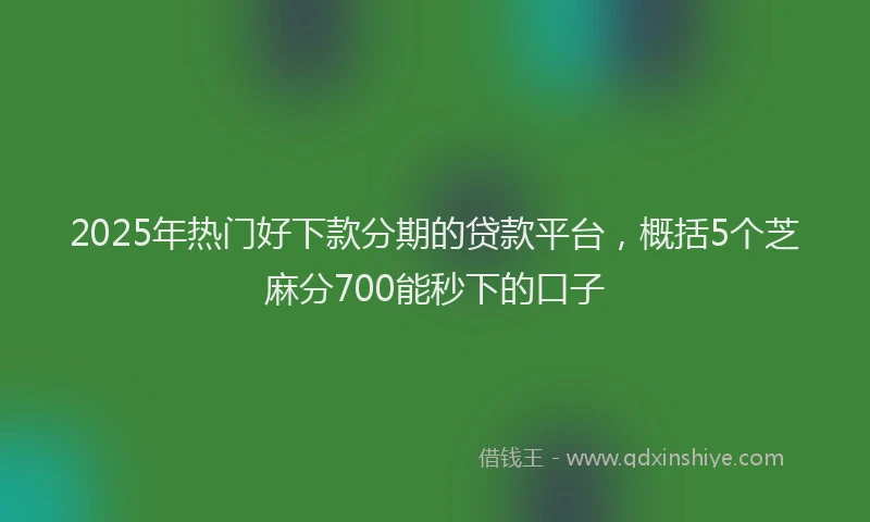 2025年热门好下款分期的贷款平台，概括5个芝麻分700能秒下的口子