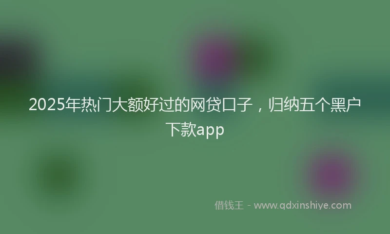 2025年热门大额好过的网贷口子，归纳五个黑户下款app
