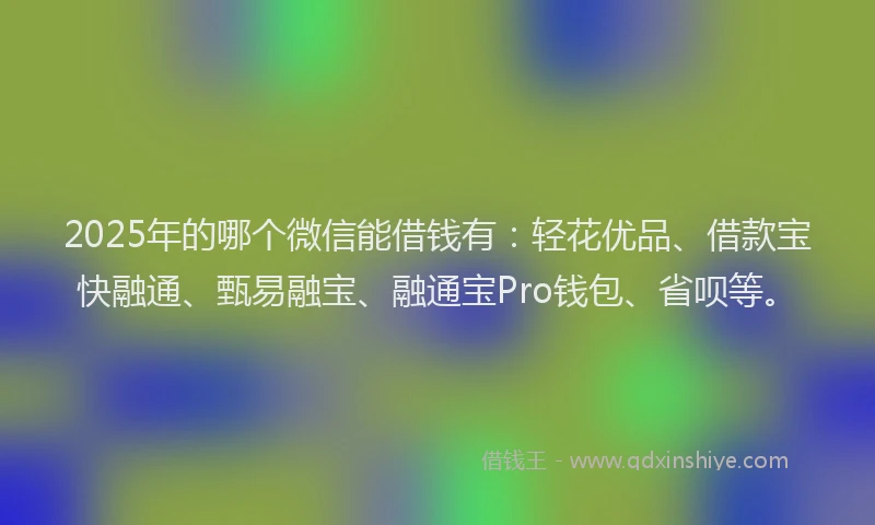 2025年的哪个微信能借钱有：轻花优品、借款宝快融通、甄易融宝、融通宝Pro钱包、省呗等。
