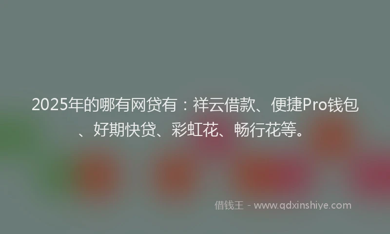 2025年的哪有网贷有：祥云借款、便捷Pro钱包、好期快贷、彩虹花、畅行花等。