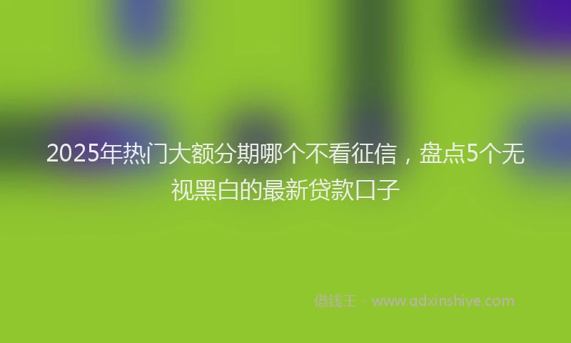 2025年热门大额分期哪个不看征信，盘点5个无视黑白的最新贷款口子