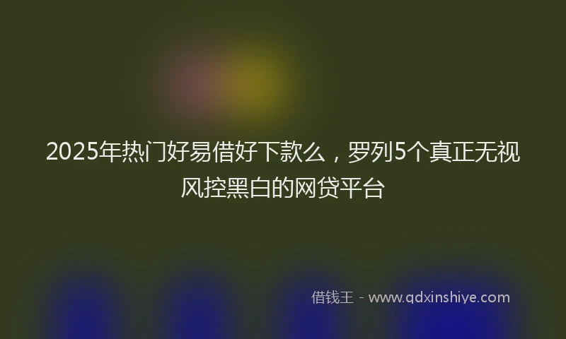 2025年热门好易借好下款么，罗列5个真正无视风控黑白的网贷平台