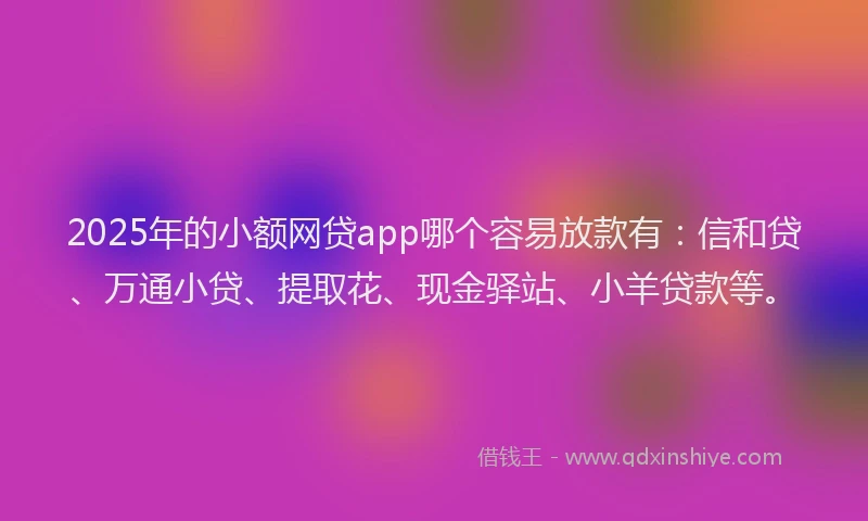 2025年的小额网贷app哪个容易放款有：信和贷、万通小贷、提取花、现金驿站、小羊贷款等。