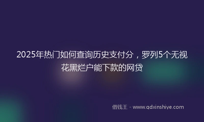 2025年热门如何查询历史支付分，罗列5个无视花黑烂户能下款的网贷