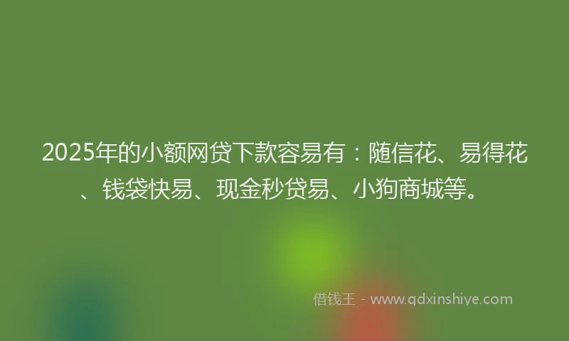 2025年的小额网贷下款容易有：随信花、易得花、钱袋快易、现金秒贷易、小狗商城等。