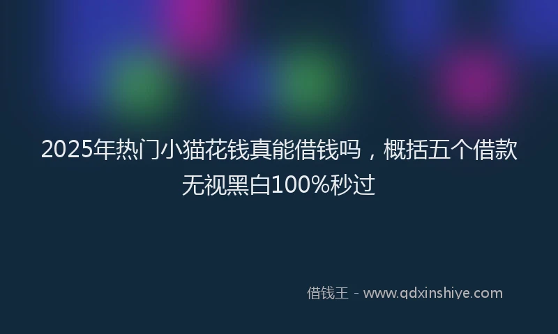 2025年热门小猫花钱真能借钱吗，概括五个借款无视黑白100%秒过