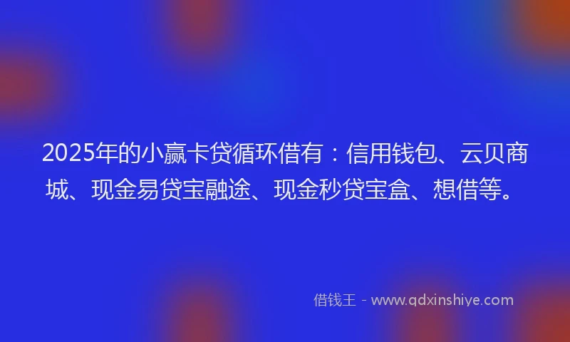 2025年的小赢卡贷循环借有：信用钱包、云贝商城、现金易贷宝融途、现金秒贷宝盒、想借等。