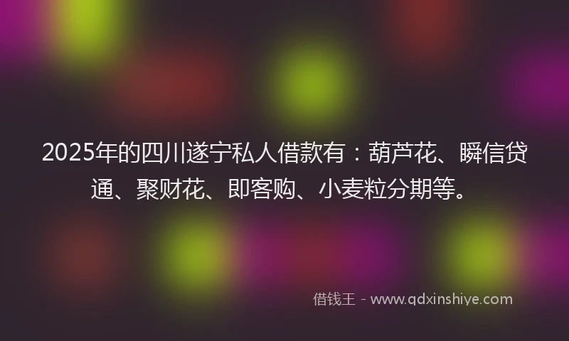 2025年的四川遂宁私人借款有：葫芦花、瞬信贷通、聚财花、即客购、小麦粒分期等。