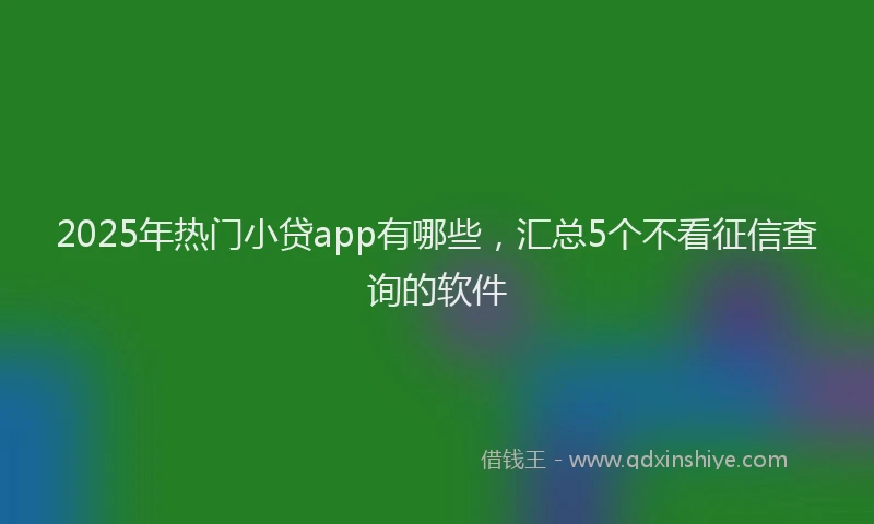 2025年热门小贷app有哪些，汇总5个不看征信查询的软件