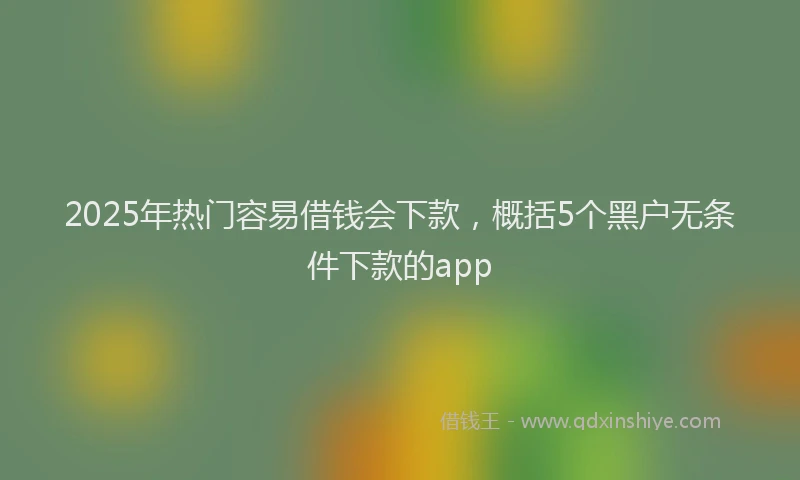 2025年热门容易借钱会下款，概括5个黑户无条件下款的app