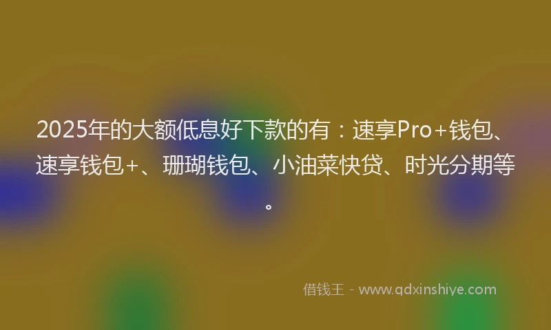2025年的大额低息好下款的有：速享Pro+钱包、速享钱包+、珊瑚钱包、小油菜快贷、时光分期等。