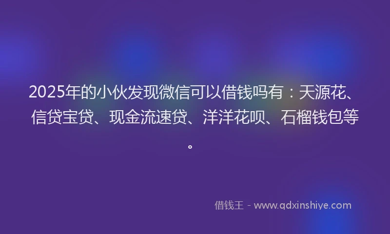 2025年的小伙发现微信可以借钱吗有:天源花、信贷宝贷、现金流速贷、洋洋花呗、石榴钱包等。