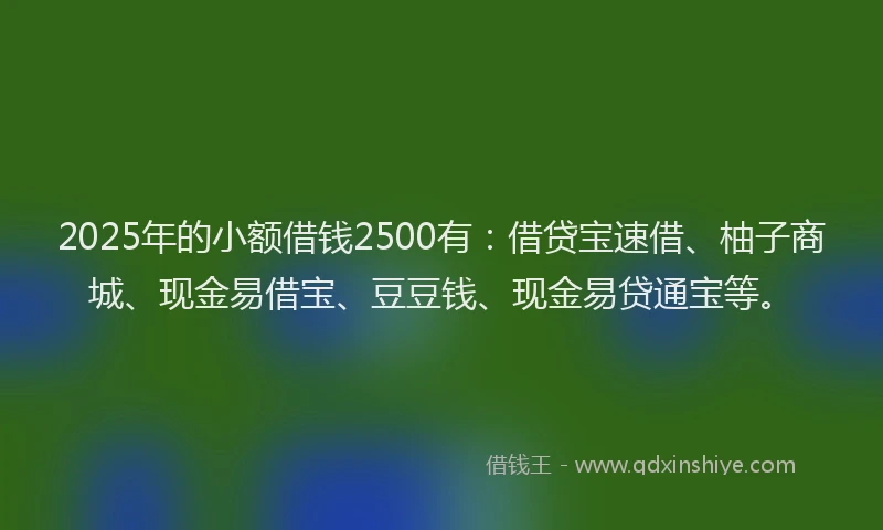 2025年的小额借钱2500有：借贷宝速借、柚子商城、现金易借宝、豆豆钱、现金易贷通宝等。