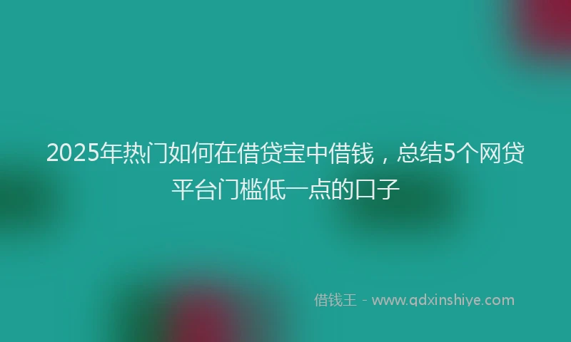 2025年热门如何在借贷宝中借钱，总结5个网贷平台门槛低一点的口子