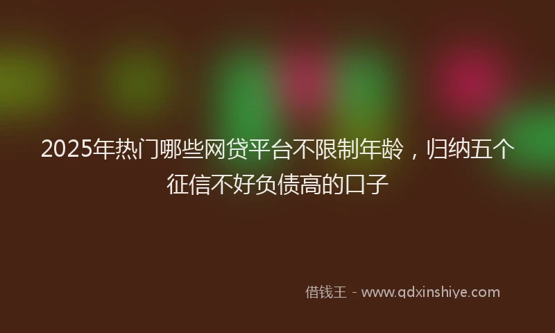 2025年热门哪些网贷平台不限制年龄，归纳五个征信不好负债高的口子