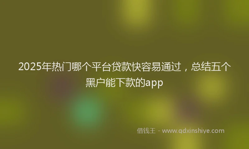 2025年热门哪个平台贷款快容易通过，总结五个黑户能下款的app